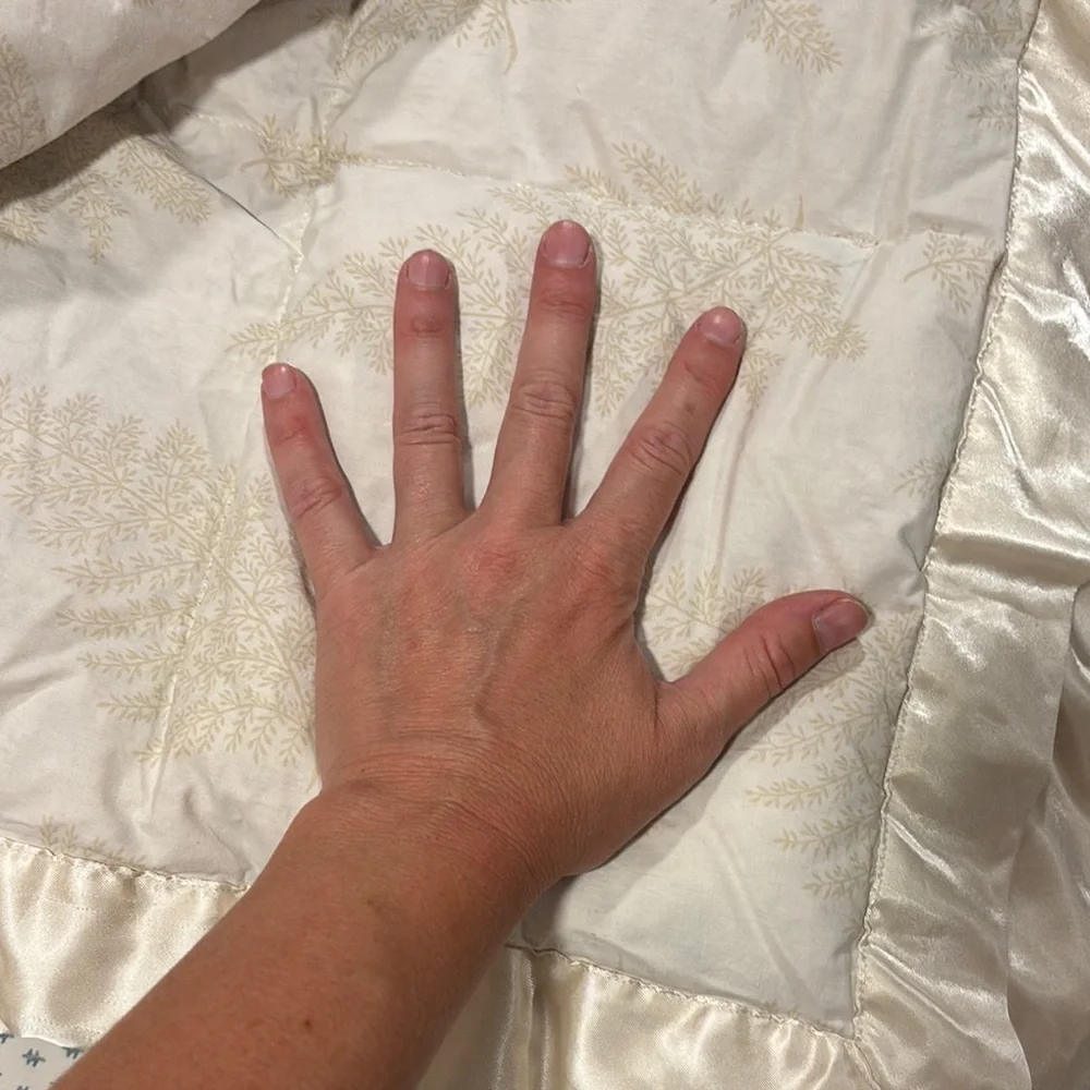 Pacific Coast Feather Co. King size Down Comforter - Picture 8 of 9